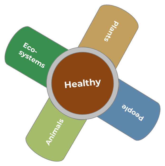 One Health approach diagram showing interconnected ecosystems, people, animals, and plants around healthy centre