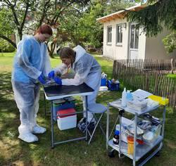SHIP OH veterinary team