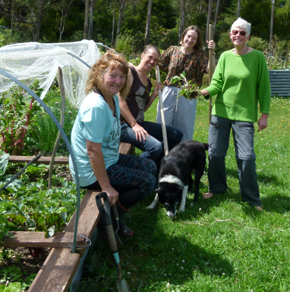 Aorere Valley Practical Living Series