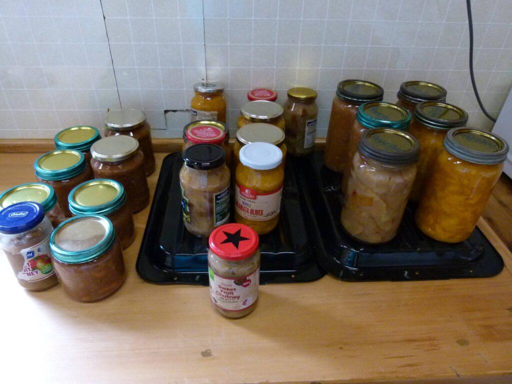 Rows of filled preserving jars containing chutney and bottled fruit on a kitchen bench